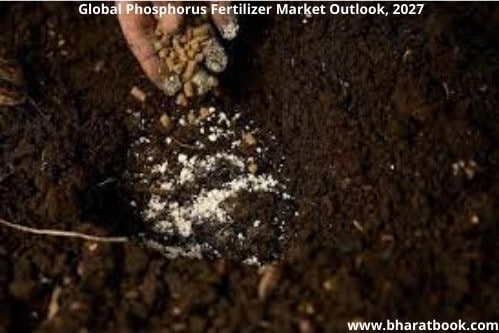 Phosphorus Fertilizer-2fa2ec89