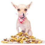 Pick-The-Best-Treats-for-Chihuahuas-b85994b1