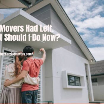 The Movers Had Left. What Should I Do Now-5cdb791a