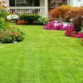 Garden Clearance: Tips for Garden Waste Clearance