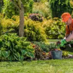What to appearance for in a Garden Clearance professional