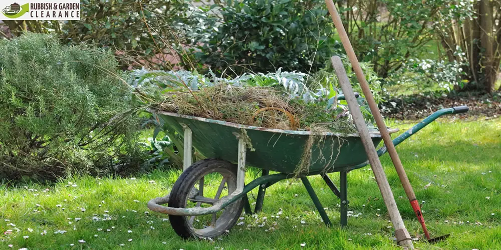 Garden Clearance: 9 Ways You Can Take Care of Your Garden