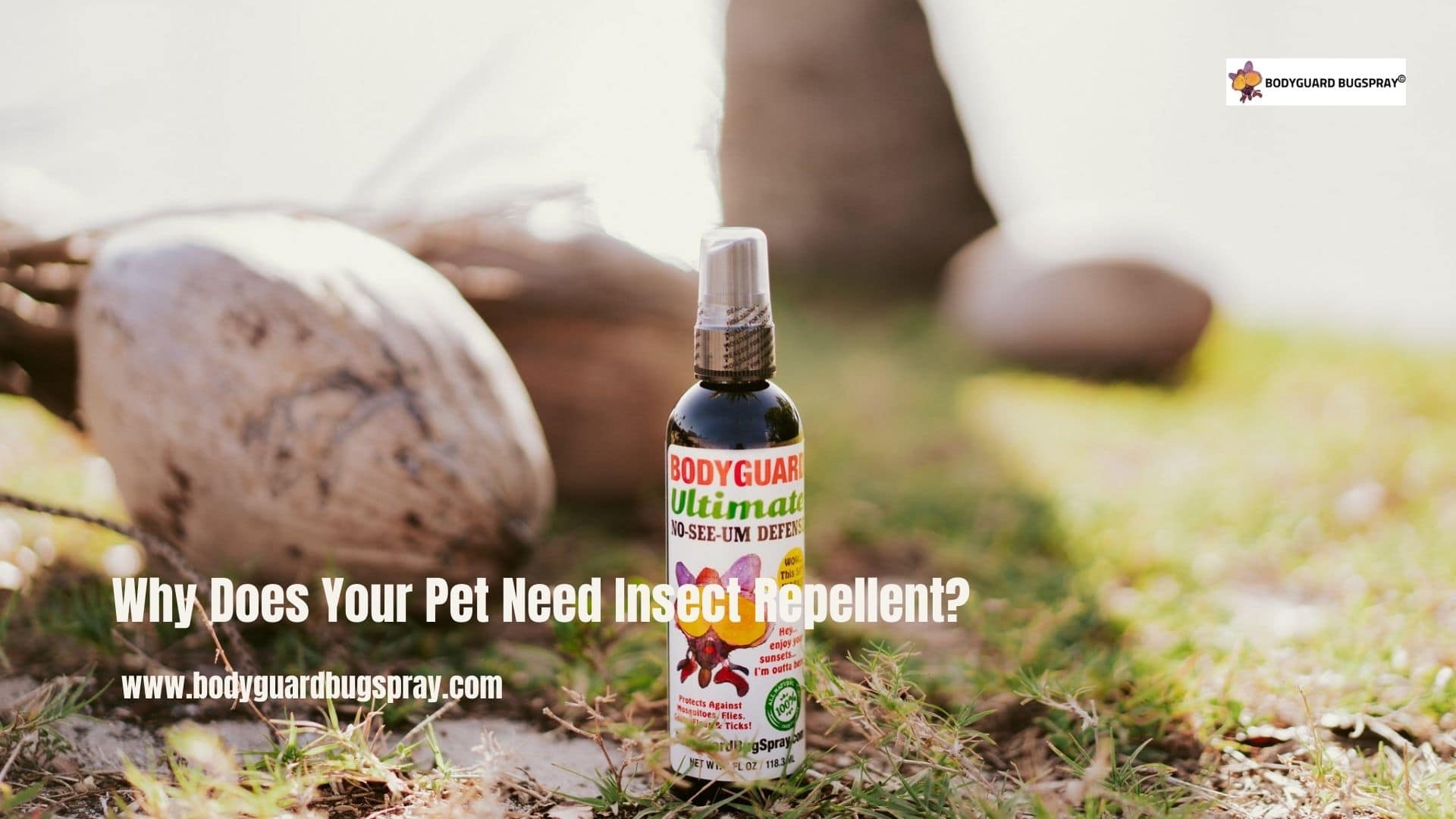 Why Does Your Pet Need Insect Repellent-5c5e8678