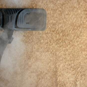 carpet cleaning service inencinitas-ed95c730