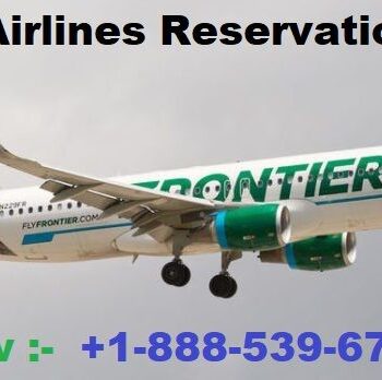 frontier flight-841fd982