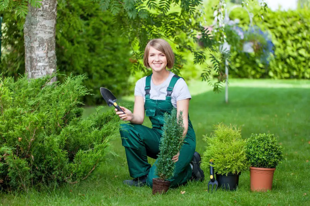 landscaping-services-toronto-1a984229
