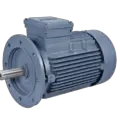 three phase induction motor supplier in UAE-6a7a3161