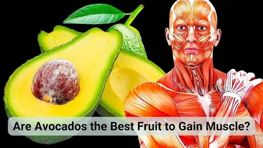 Are Avocados the Best Fruit to Gain Muscle?