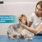 5 Amazing Qualities of Pet Groomers we Must Adore-d1811aab