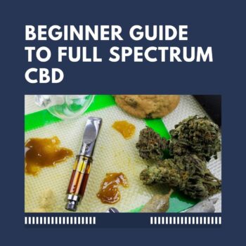 Beginner Guide To Full Spectrum CBD-53328aa4