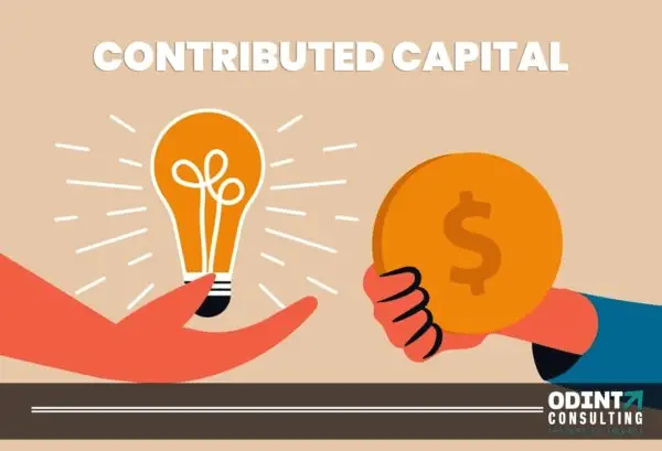 Contributed-Capital-1-600x409-32140b46