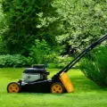 Professional garden clearance company in London