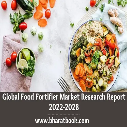 Global Food Fortifier Market Research Report 2022-2028-0e807b4e