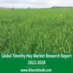 Global Timothy Hay Market Research Report 2022-2028-31acf7c2