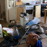 House Clearance during Hot Summer Weather