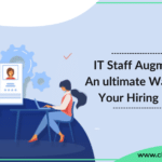 IT Staff Augmentation An Ultimate Way To Solve Your Hiring Problems_Chapter247Infotech-36e63647