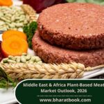 Middle East & Africa Plant-Based Meat Market Outlook, 2026-4848f773