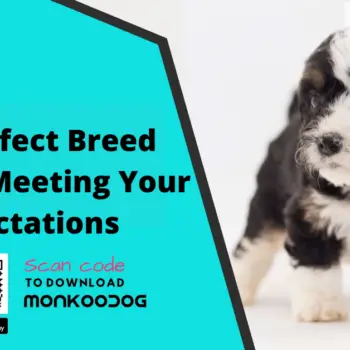 Perfect Dog Breed Selector Meeting Your Expectations-797a0d33