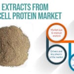 Protein Extracts from Single Cell Protein Sources Market d-dd09b008