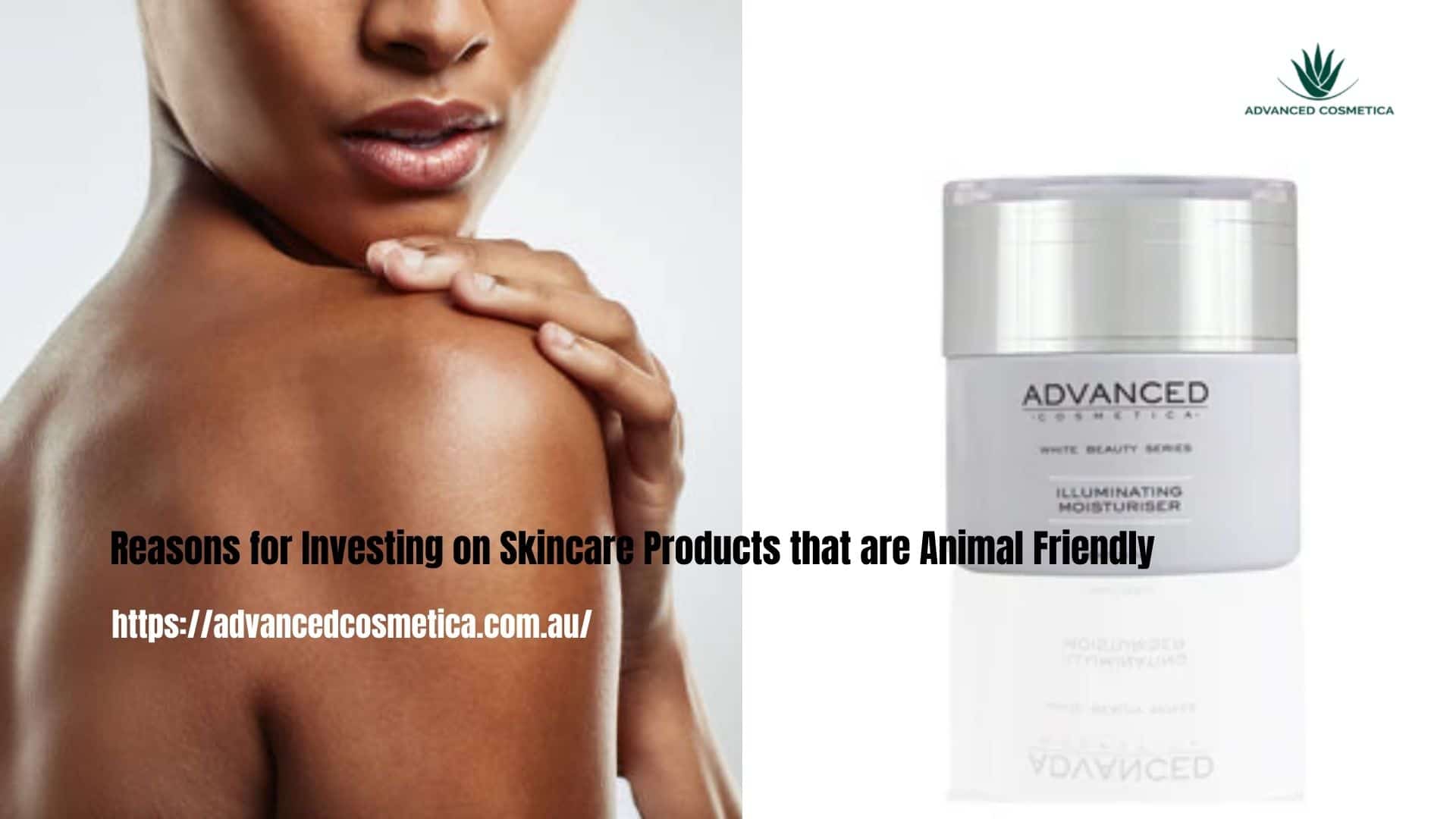Reasons for Investing on Skincare Products that are Animal-6c51e954