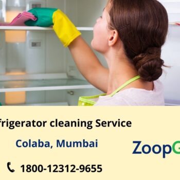 Refrigerator cleaning work-c09d8466