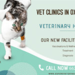 Vet Clinics in Oxford, MS-6abfac06