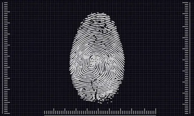 biometrics-g0d55b3aec_640-072e3edb
