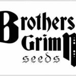 brothers grimm seeds-764c9686