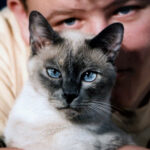 claws-n-paws-pets-safe-animal-hospital-columbia-md-0e163fe4