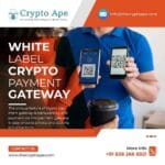 crypto-payment-gateway-development-77da3f46