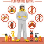 pest control-9d71e51e