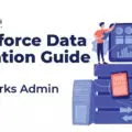 salesforce-data-migration-guide[1]-5222a34b