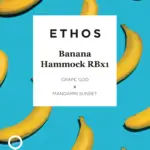 banana hammock seeds