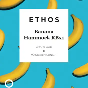 banana hammock seeds