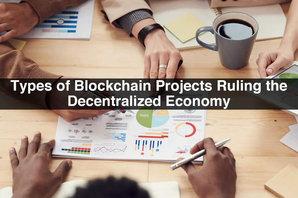 A-Guide-to-the-Types-of-Blockchain-Projects-Ruling-the-Decentralized-Economy-a843966c