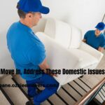 Before You Move In, Address These Domestic Issues-e8cdfc52