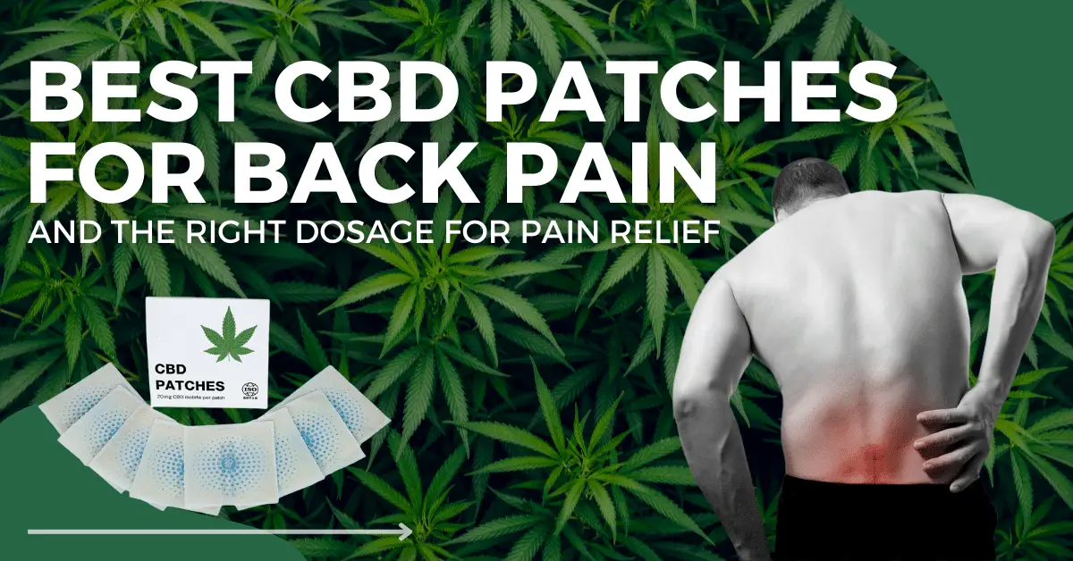 Best CBD Patches For Back Pain And The Right Dosage For Pain Relief-ab43ca62
