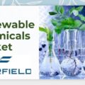 Bio-Renewable Chemicals Market-8d7258c8