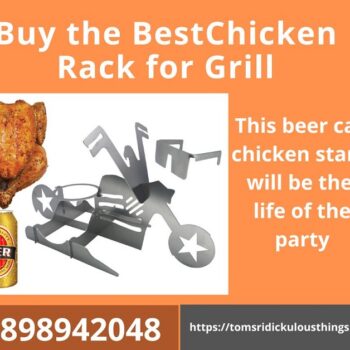 Buy the Best Chicken Rack for Grill-040d909b