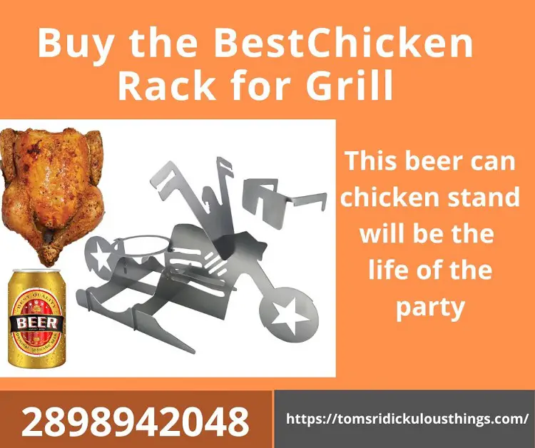 Buy the Best Chicken Rack for Grill-040d909b