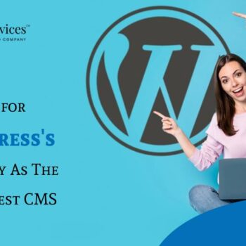 CMS development company india - iWebServices-398fc638