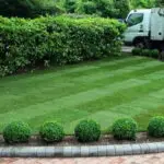 The Ultimate Guide to Garden clearance services