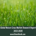 Global Nature Grass Market Research Report 2022-2028-ea4c5d92