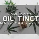 How Does CBD Oil Tincture Make You Feel-98ce138f