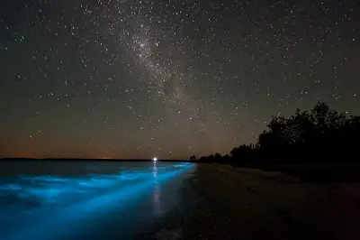 Lagoon Bioluminescent Tour-8075735e