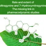 Mitragynine-studies-716bed2f