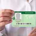 Nevada Medical Cannabis Card-248f4ee3