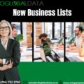 New Business Lists-11b13429