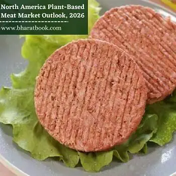North America Plant-Based Meat Market Outlook, 2026 -6e1401ea