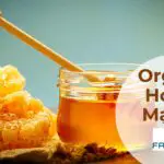 Organic Honey Market-fa26c22c